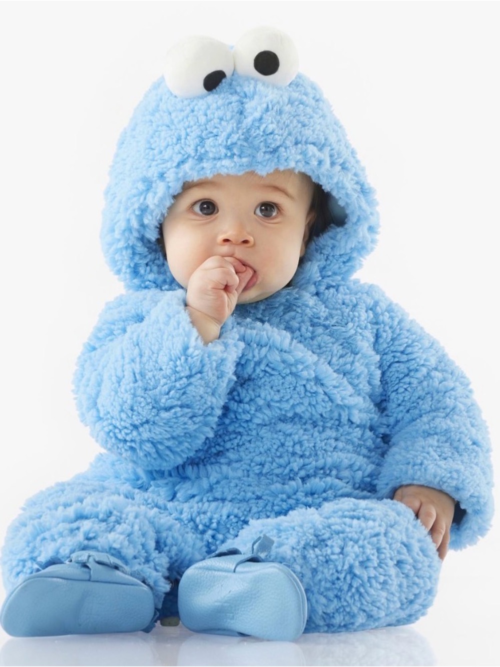 Pottery Barn Cookie Monster Halloween Costume